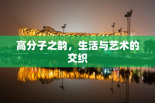 高分子之韵，生活与艺术的交织