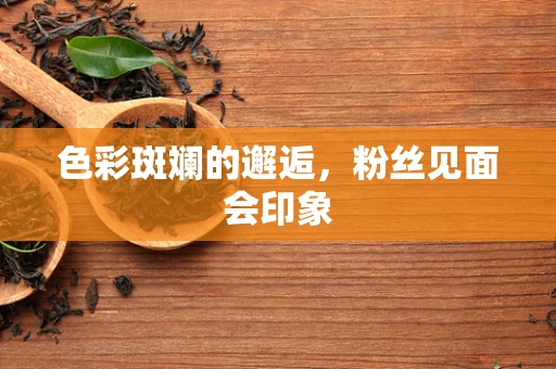 色彩斑斓的邂逅，粉丝见面会印象