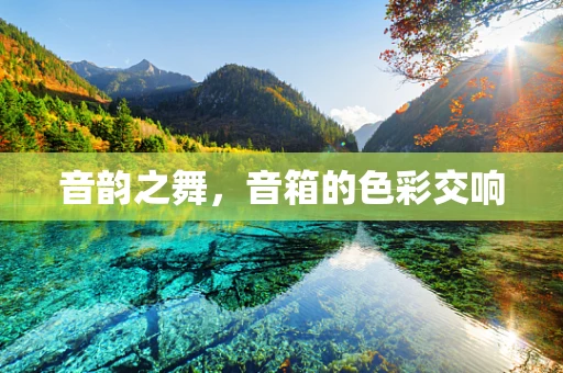 音韵之舞，音箱的色彩交响