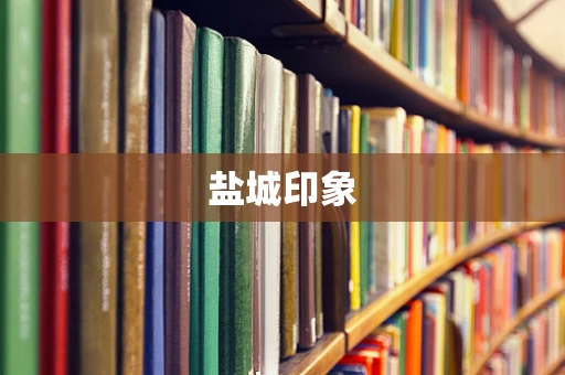 盐城印象