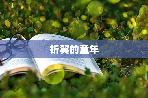 折翼的童年