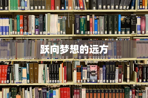 跃向梦想的远方