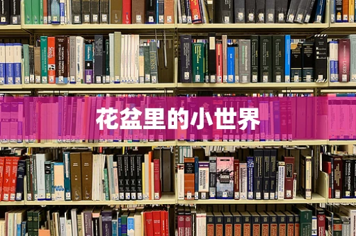 花盆里的小世界