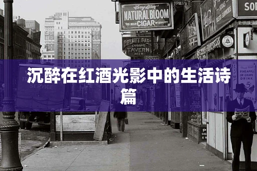 沉醉在红酒光影中的生活诗篇