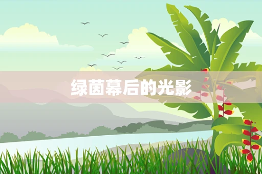 绿茵幕后的光影