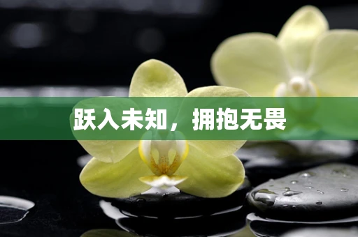 跃入未知，拥抱无畏
