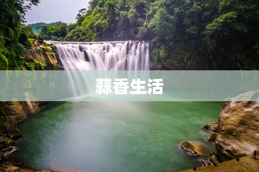 蒜香生活