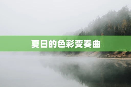 夏日的色彩变奏曲