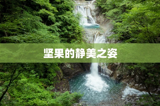 坚果的静美之姿