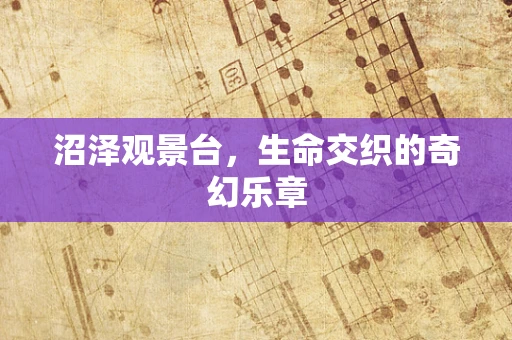 沼泽观景台，生命交织的奇幻乐章