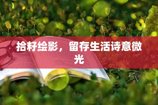 拾籽绘影，留存生活诗意微光