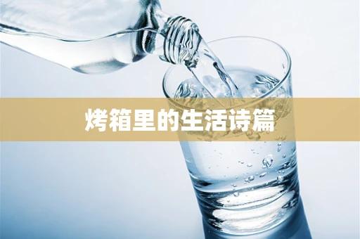 烤箱里的生活诗篇