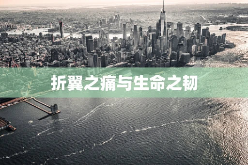 折翼之痛与生命之韧