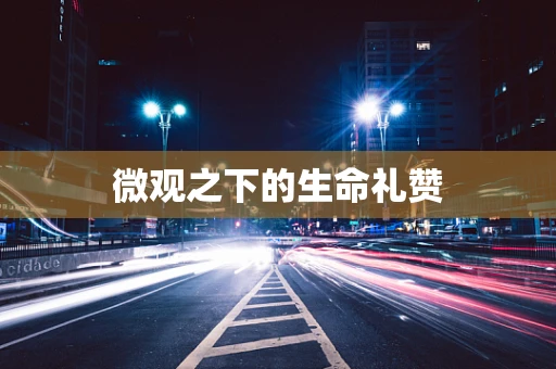 微观之下的生命礼赞