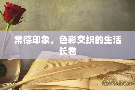 常德印象，色彩交织的生活长卷