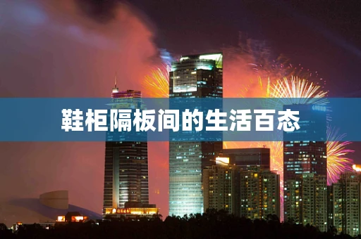 鞋柜隔板间的生活百态