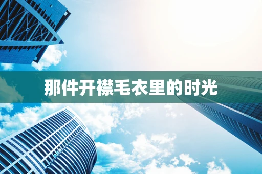 那件开襟毛衣里的时光