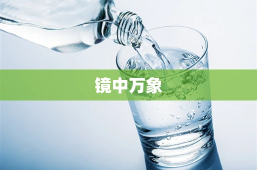 镜中万象