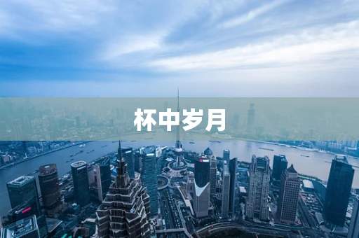杯中岁月