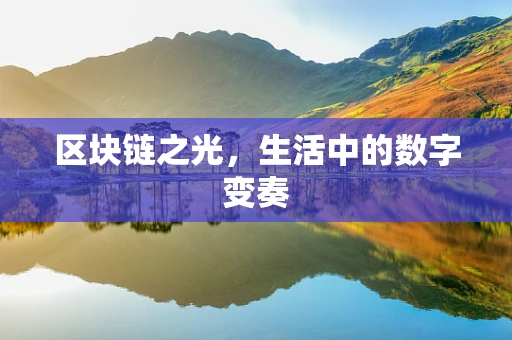区块链之光，生活中的数字变奏