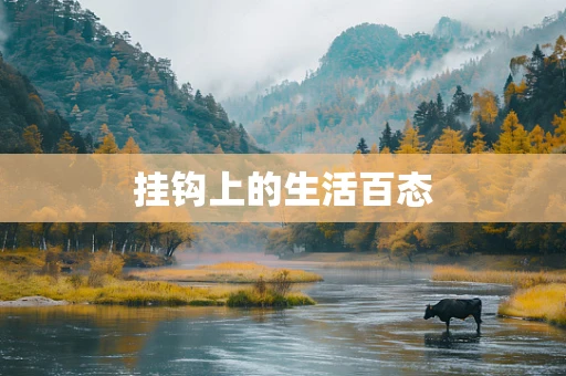 挂钩上的生活百态