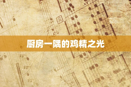 厨房一隅的鸡精之光
