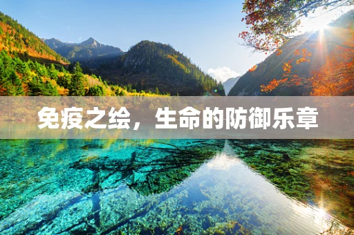 免疫之绘，生命的防御乐章
