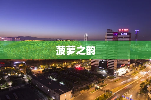 菠萝之韵