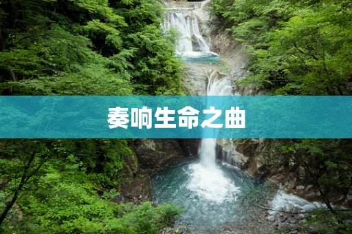 奏响生命之曲