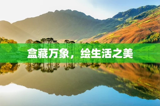 盒藏万象，绘生活之美