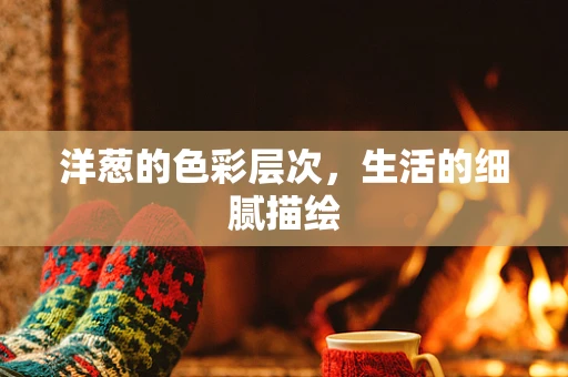 洋葱的色彩层次，生活的细腻描绘