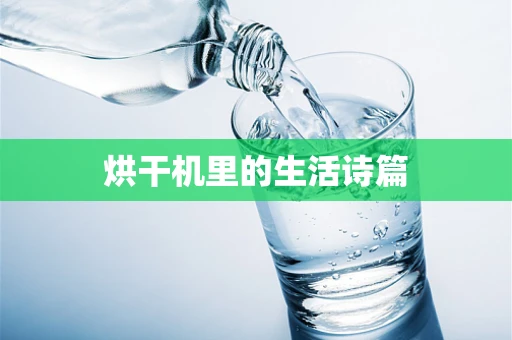 烘干机里的生活诗篇