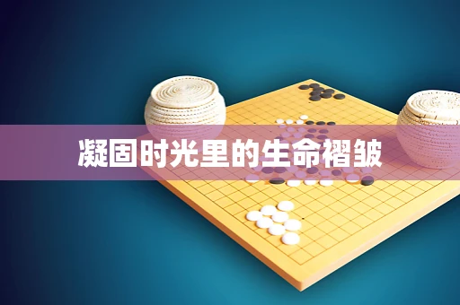 凝固时光里的生命褶皱