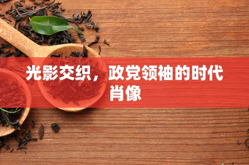 光影交织，政党领袖的时代肖像