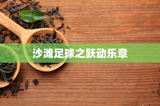 沙滩足球之跃动乐章