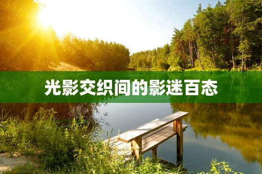 光影交织间的影迷百态