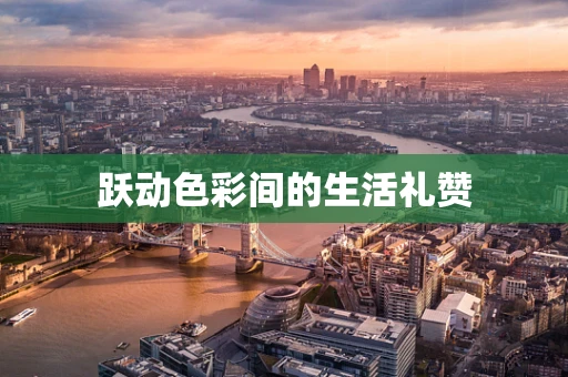 跃动色彩间的生活礼赞