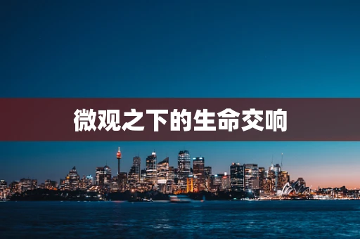 微观之下的生命交响