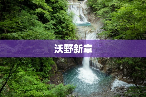 沃野新章