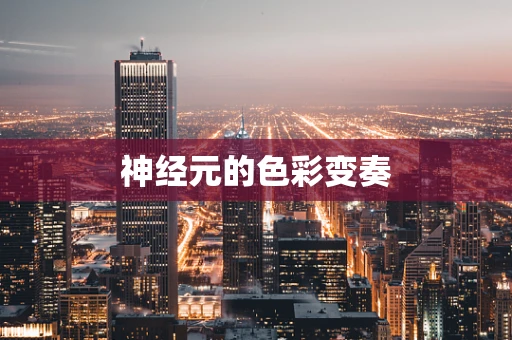 神经元的色彩变奏