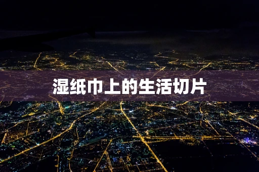 湿纸巾上的生活切片