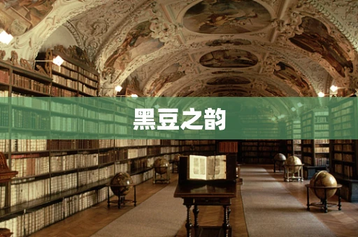 黑豆之韵