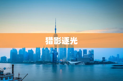 猎影逐光