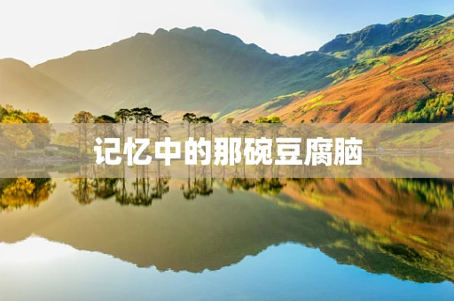 记忆中的那碗豆腐脑
