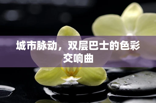 城市脉动，双层巴士的色彩交响曲