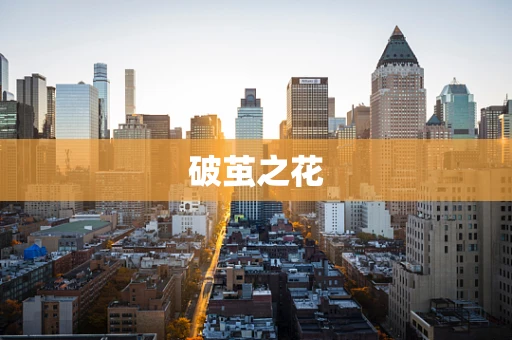 破茧之花