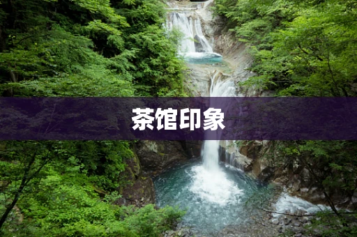 茶馆印象