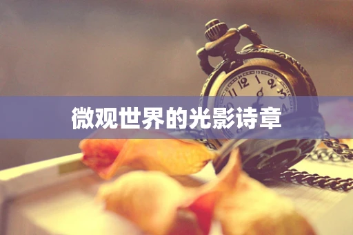 微观世界的光影诗章