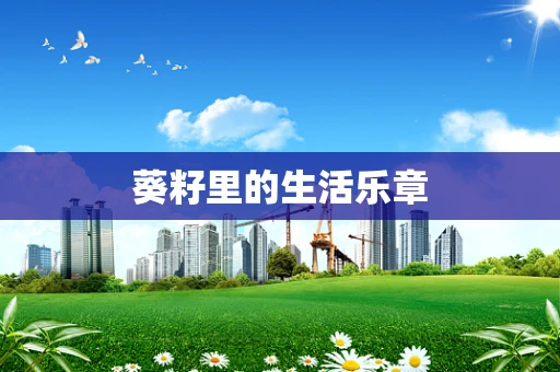 葵籽里的生活乐章