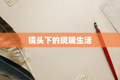 镜头下的斑斓生活